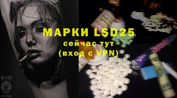 ГАЛЛЮЦИНОГЕННЫЕ ГРИБЫ Балахна