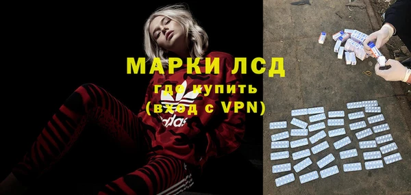ГАЛЛЮЦИНОГЕННЫЕ ГРИБЫ Балахна