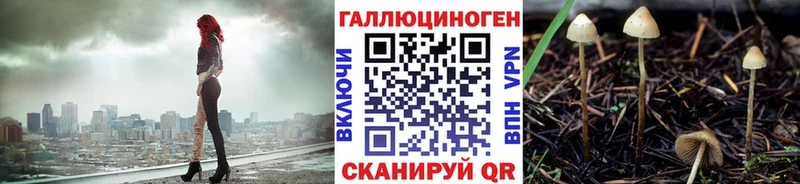 omg ссылки Заринск Галлюциногенные грибы Cubensis