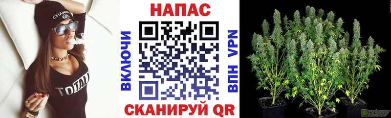 что такое наркотик  Заринск  Бошки марихуана VHQ 
